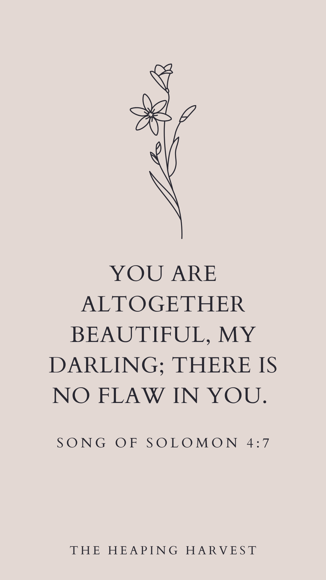 Song of Solomon 4:7 | “Beauty”, Christian Quotes and Sayings, Bible Verses &  Christian Inspiration
