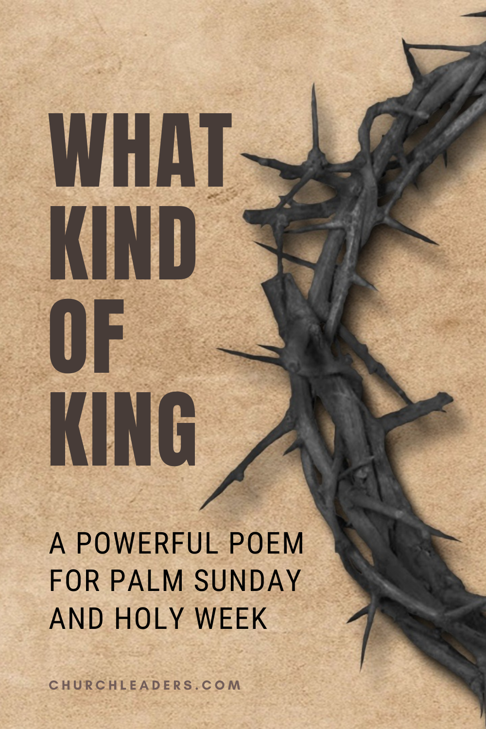 What Kind of King? A Powerful Palm Sunday Poem