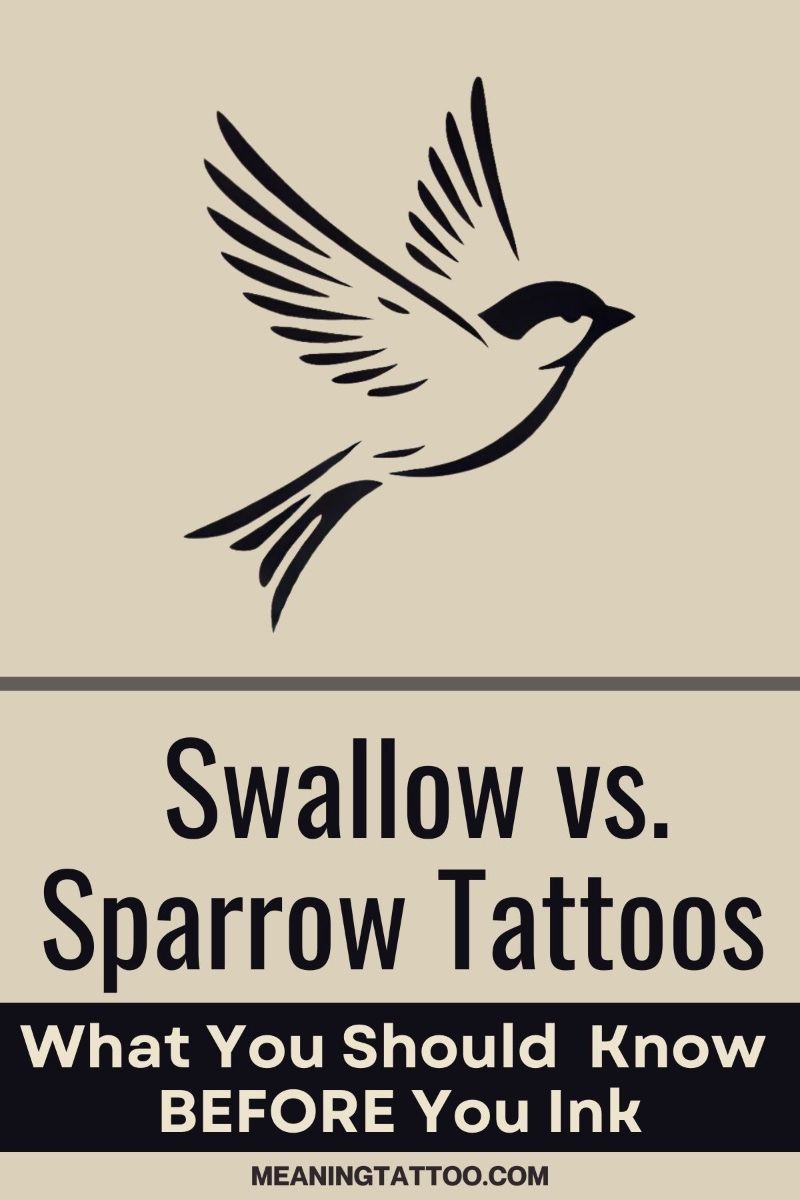 Swallow vs Sparrow Tattoos: Before You Ink