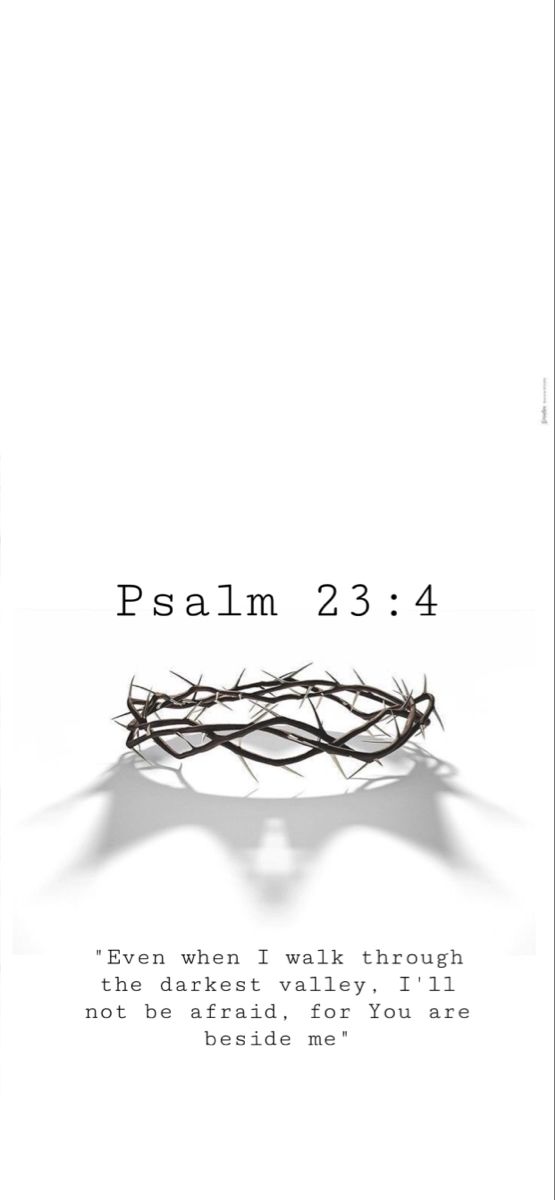 Psalm 23:4