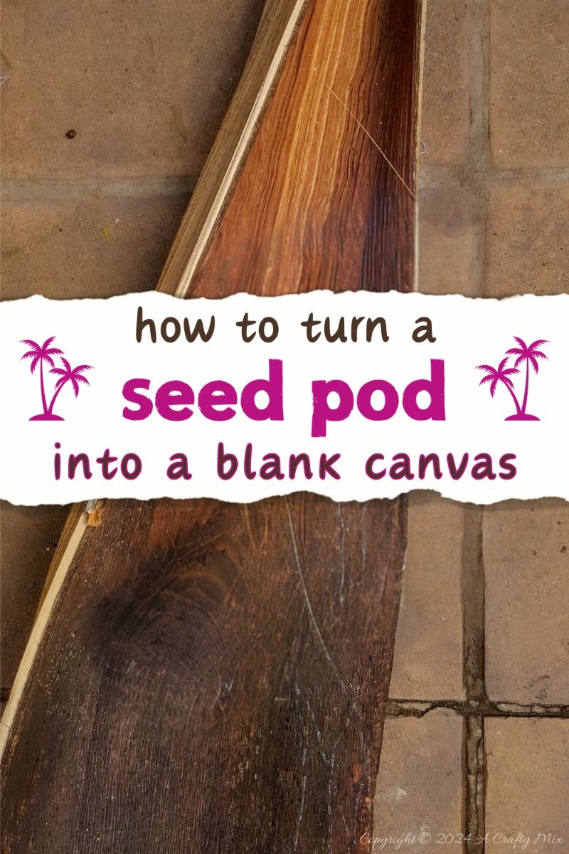Making Art: Seed Pod Canvas DIY