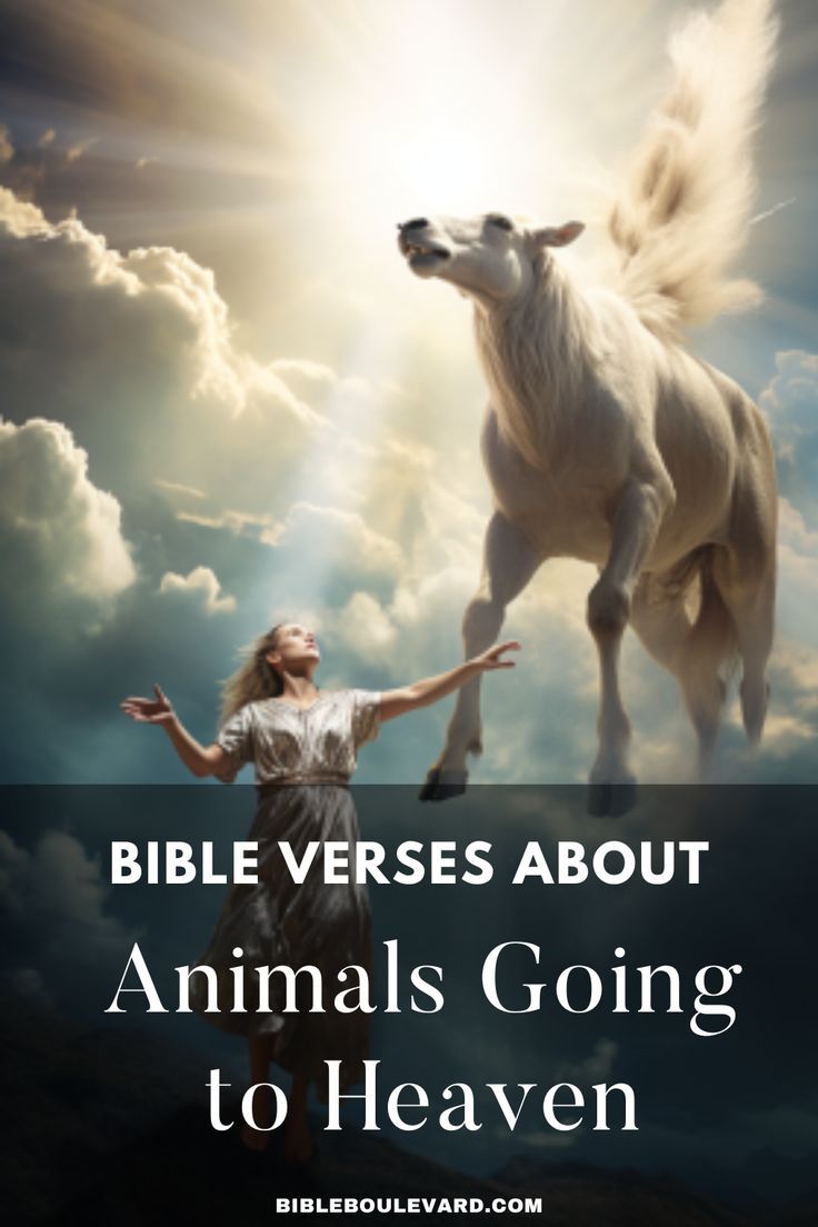 Bible Verses About Animals Going to Heaven