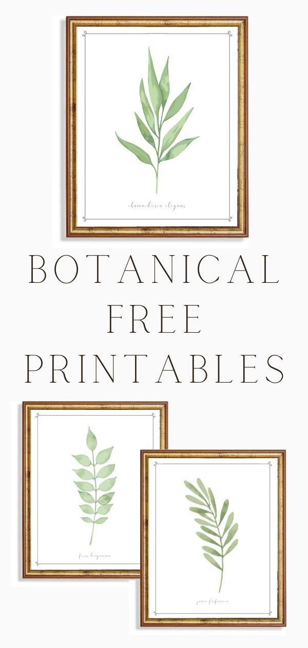 Free Printable Wall Art – Botanicals