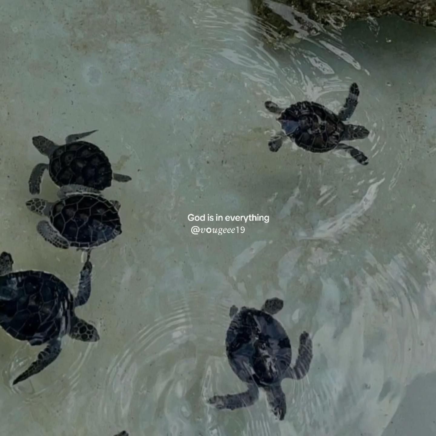 God is in everything