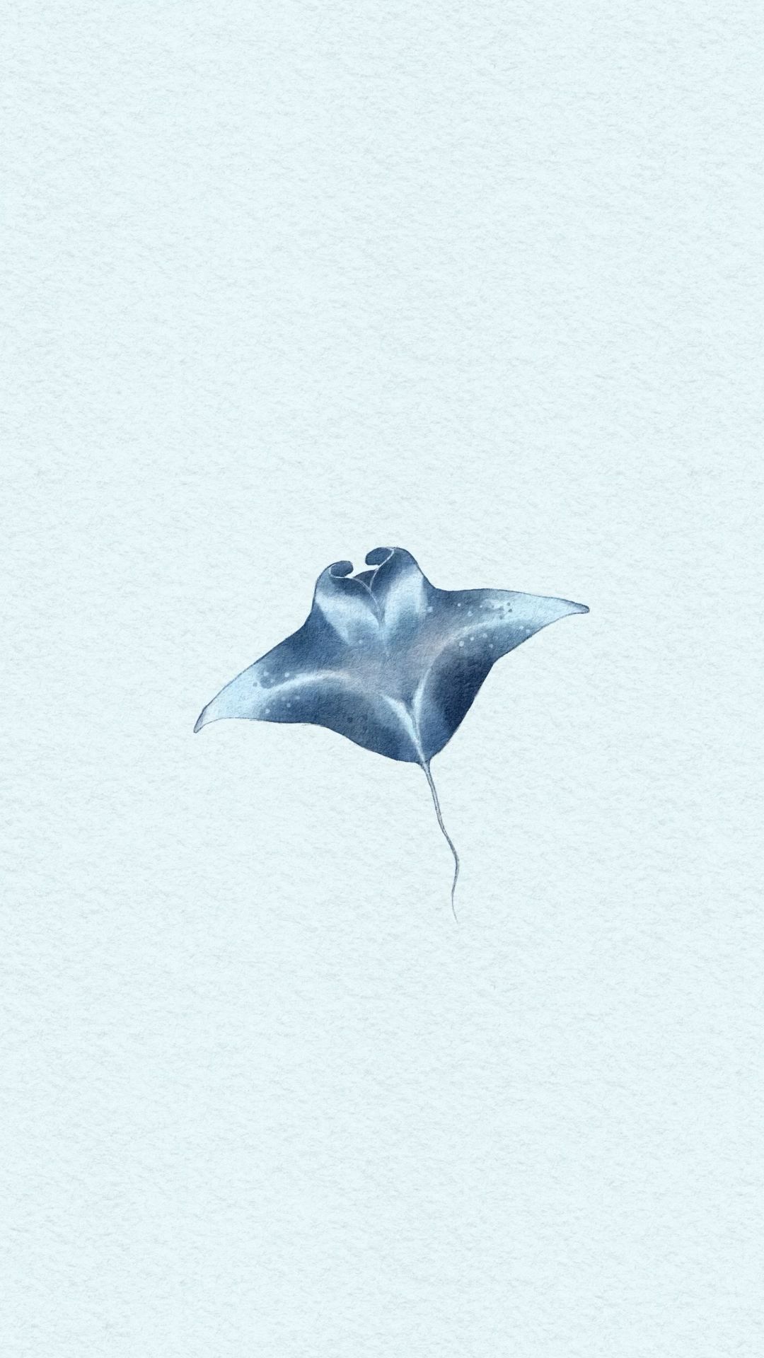A cute manta ray phone wallpaper