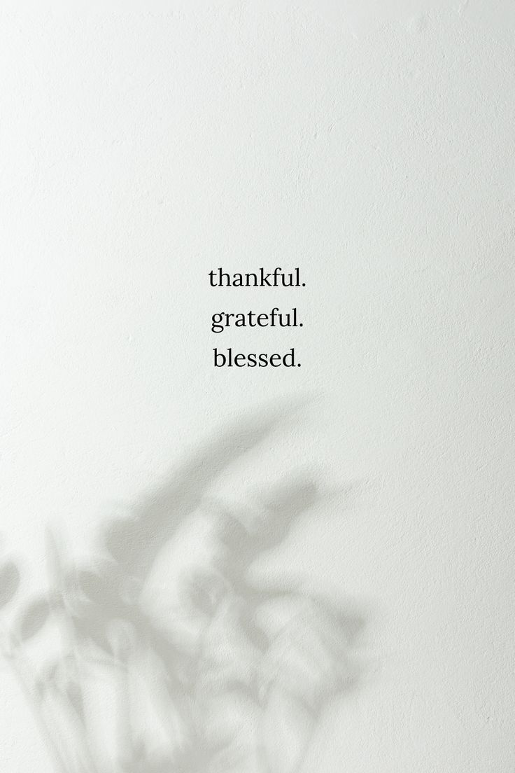 Thankful Grateful Blessed Quotes