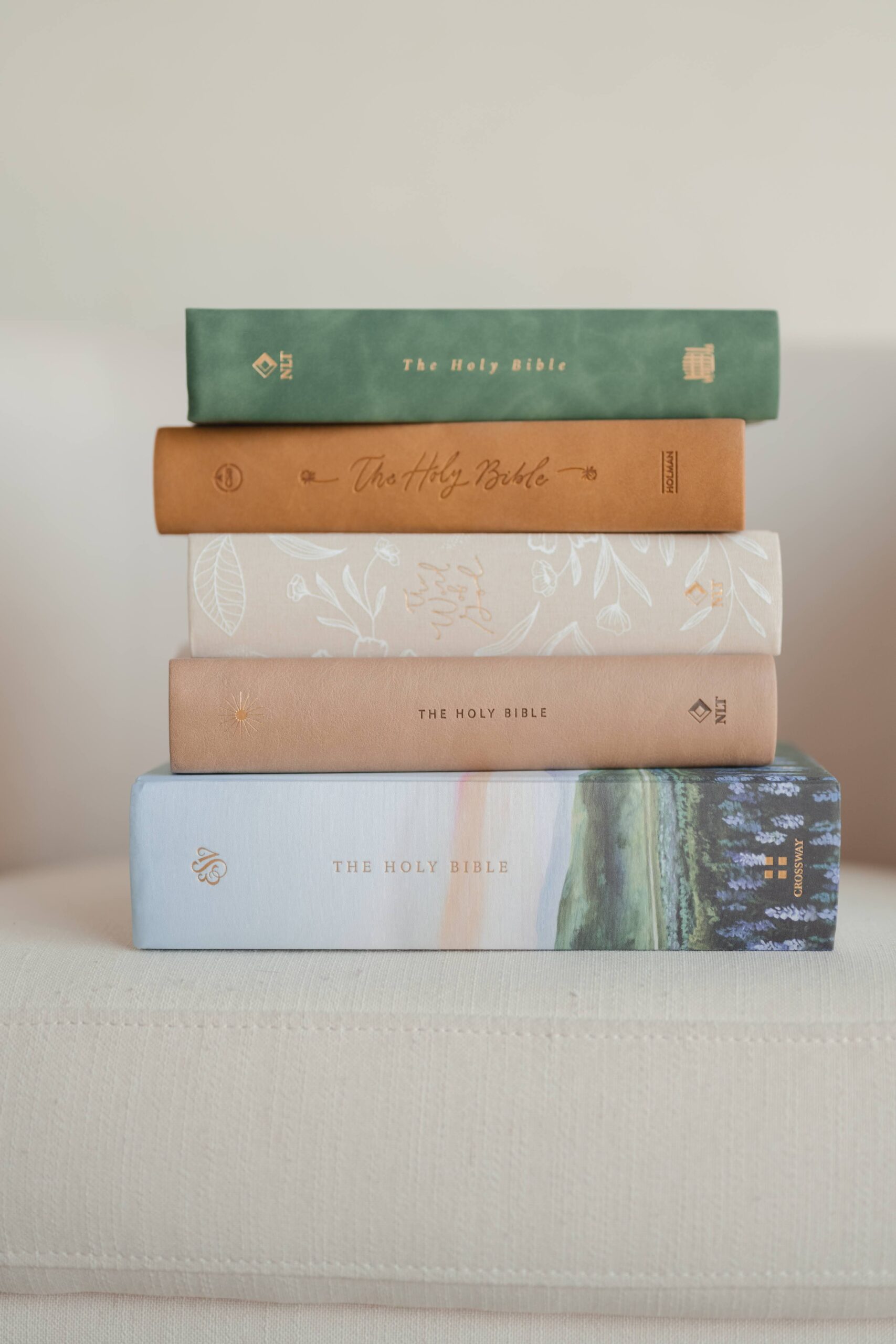 Amelia : CSB Notetaking Bible