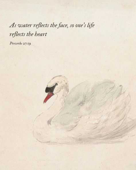 Vintage Christian Artwork: Swan and Inspiring Proverbs 27:19 Scripture | Linen and Grace Art