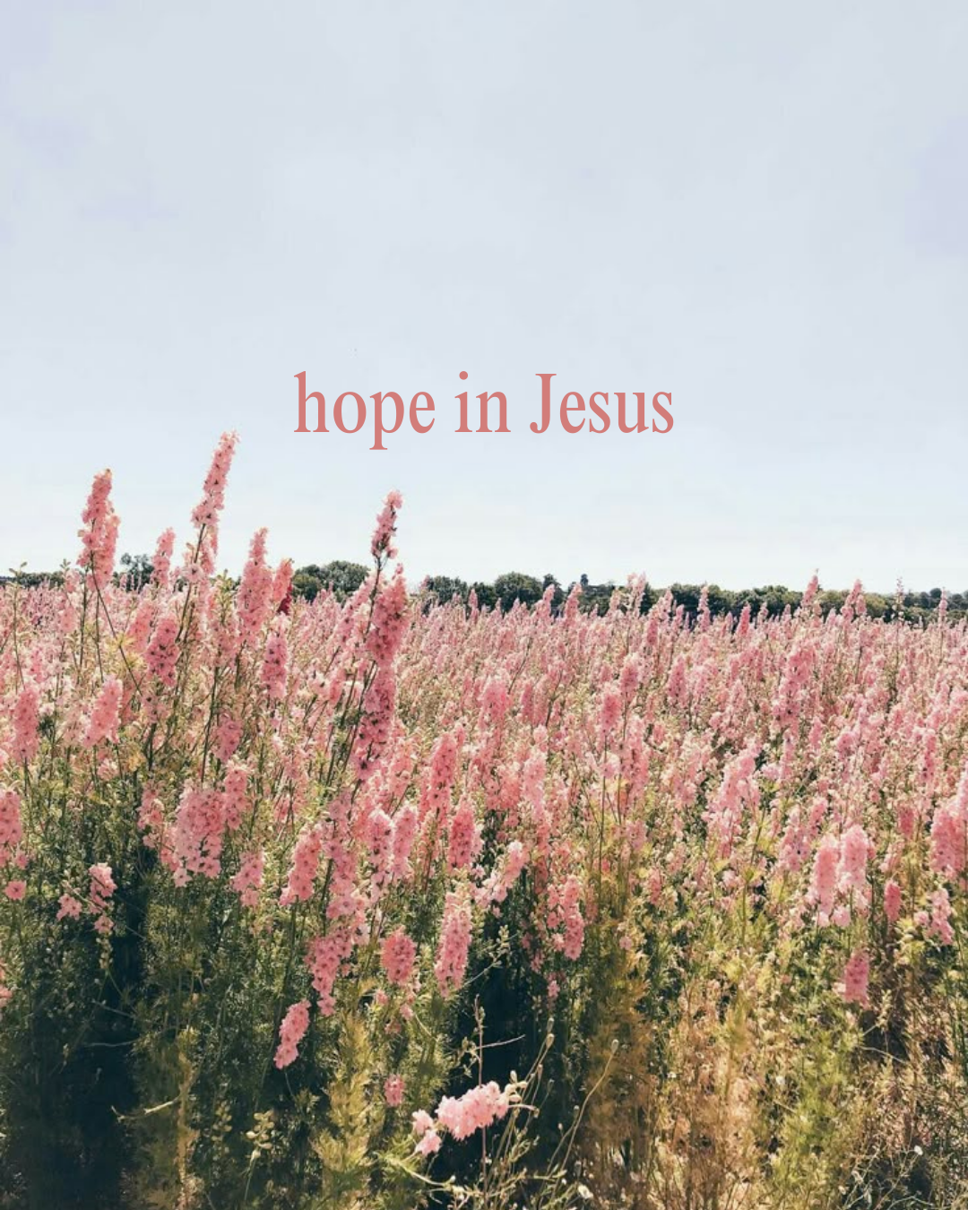 hope in Jesus!!!!!