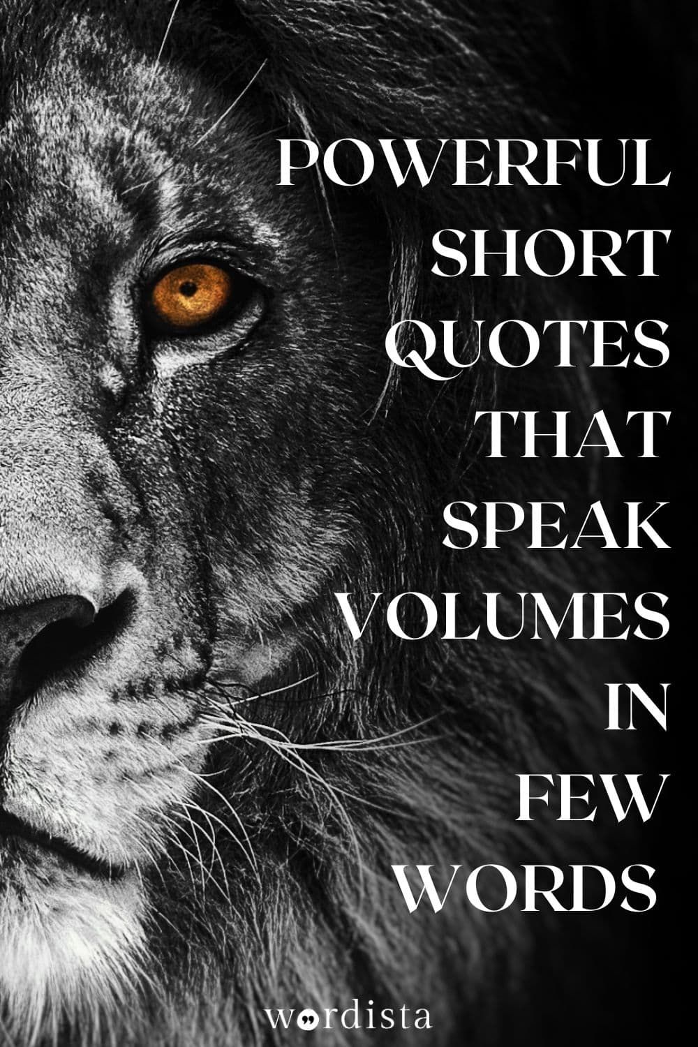 200+ Powerful Short Quotes to Say More with Less – WORDISTA