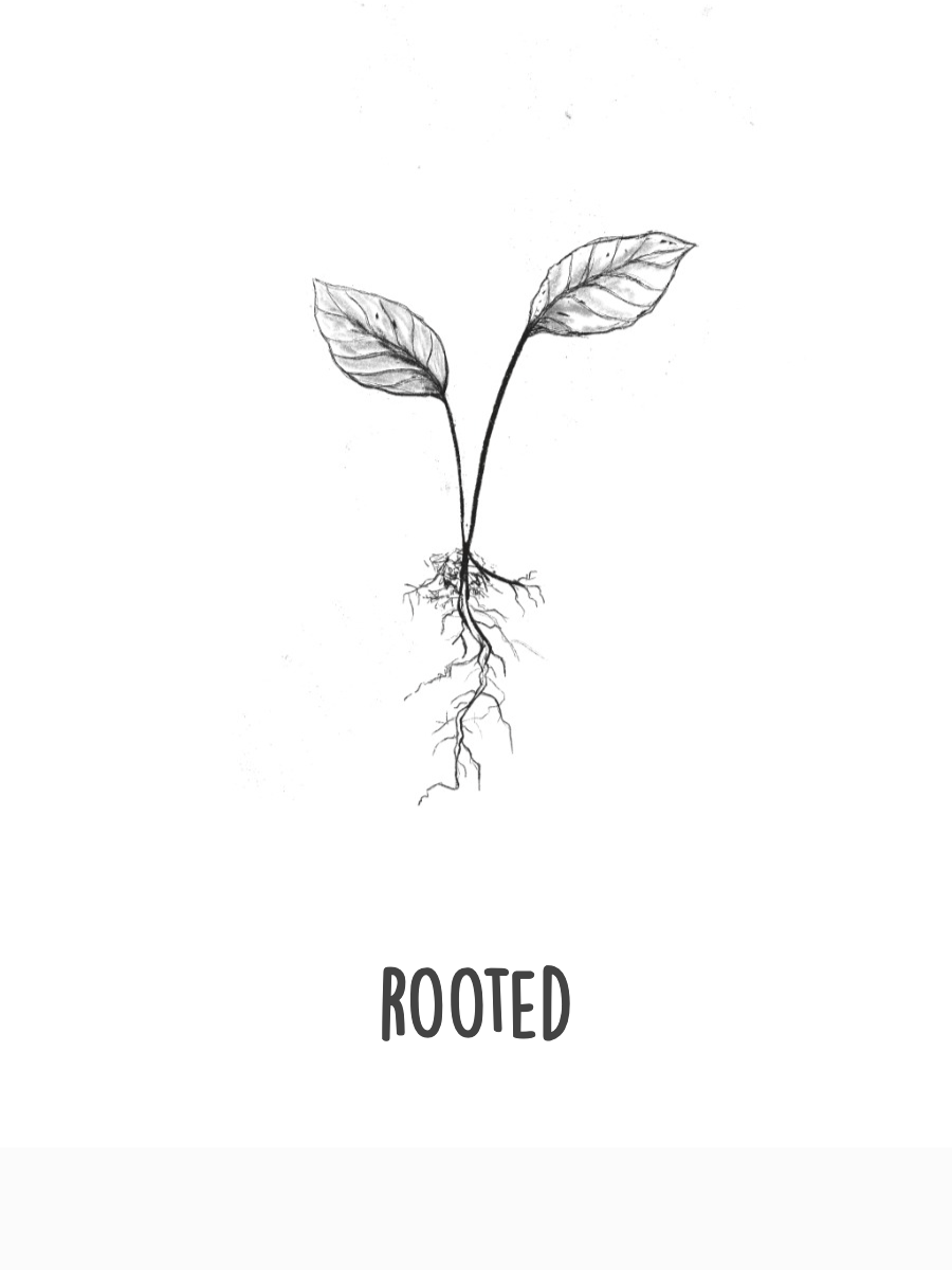 rooted in christ