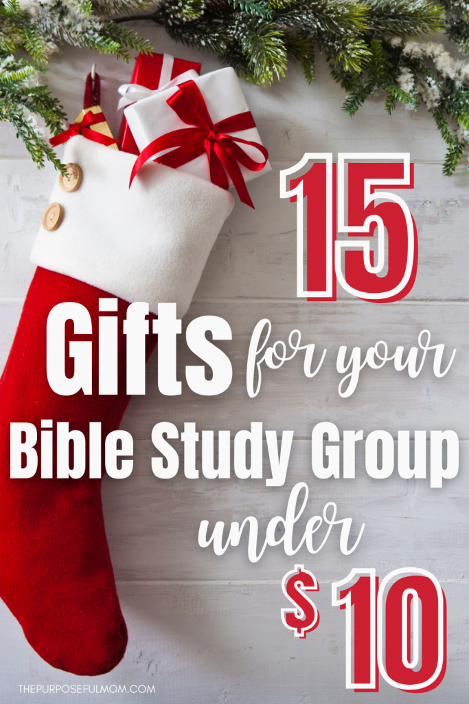 15 Best Christmas Gifts for Your Bible Study Group