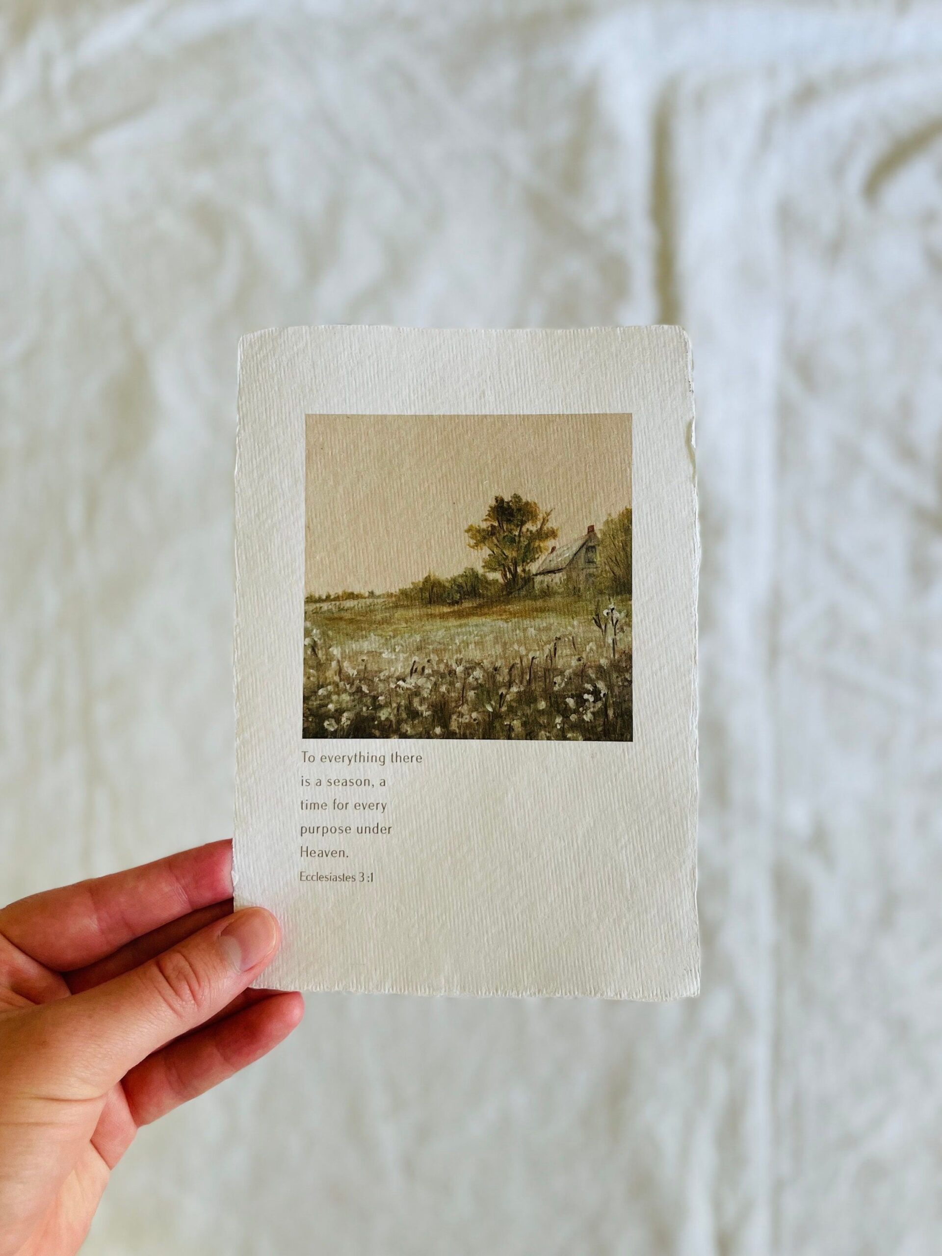 champ de coton impression d’art sur papier fait main | impression de devis | verset biblique | inspirant art mural