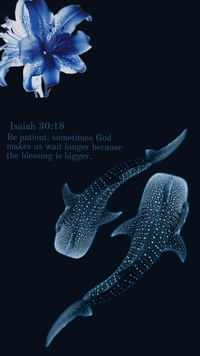 Navy blue theme wallpaper